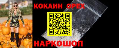 гидропоника Рязань