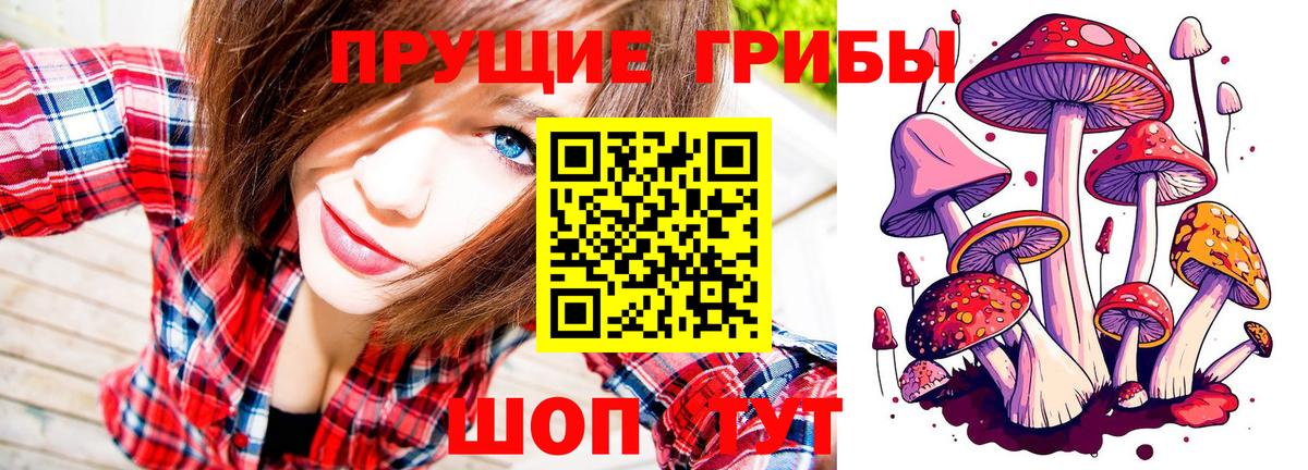 Галлюциногенные грибы мухоморы Острогожск