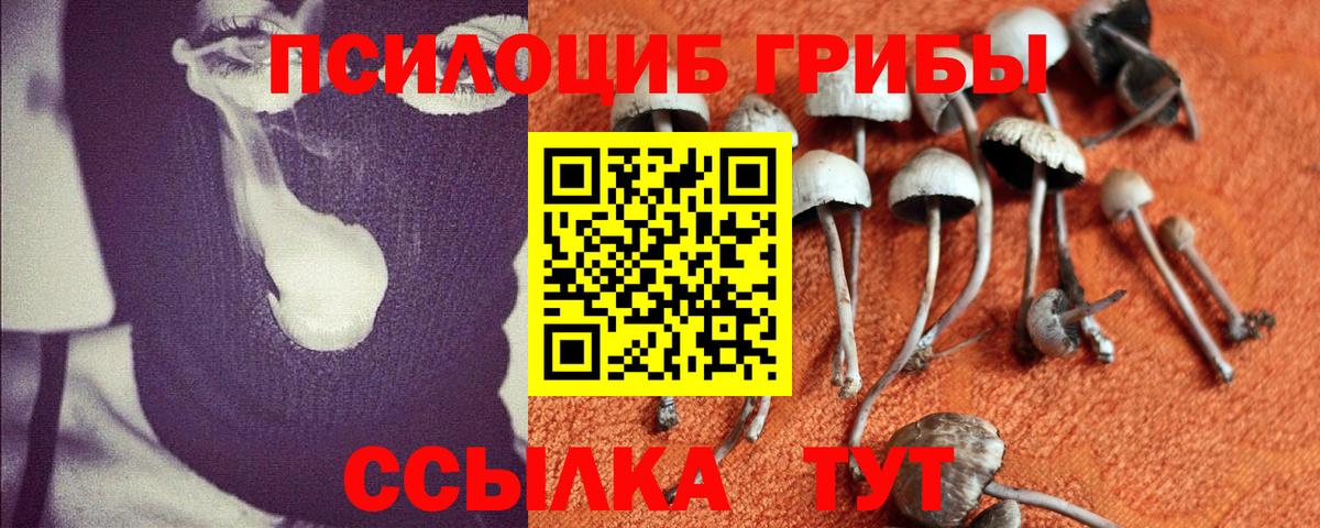Псилоцибиновые грибы GOLDEN TEACHER  Псилоцибиновые грибы мухоморы  Вход с VPN  Острогожск 